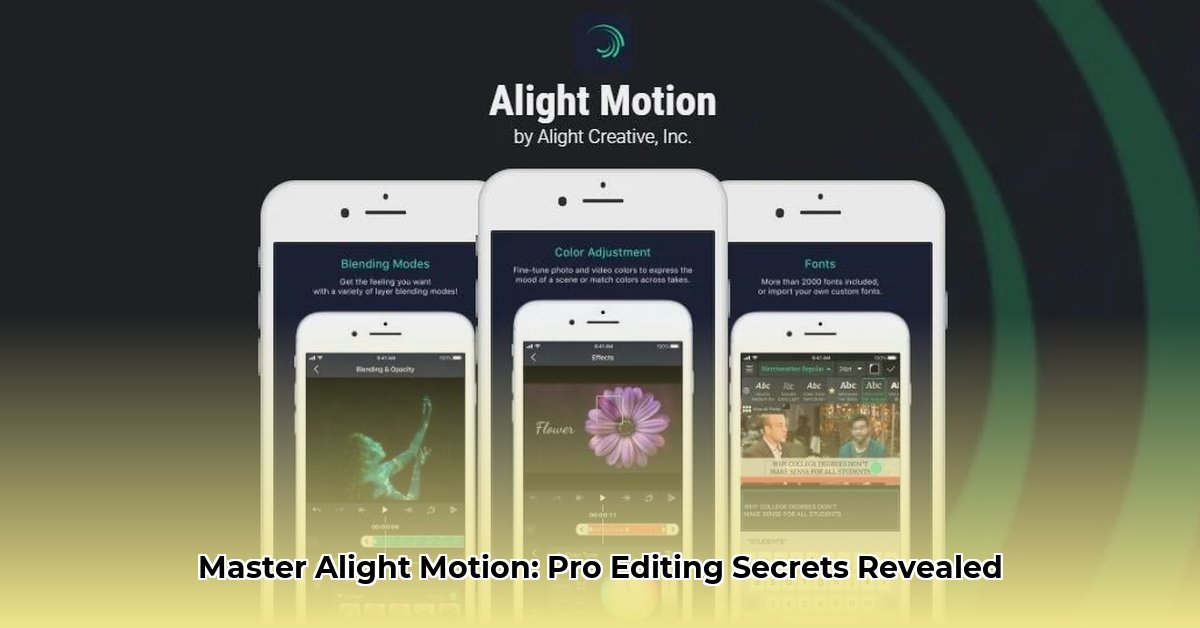 liteapks-alight-motion